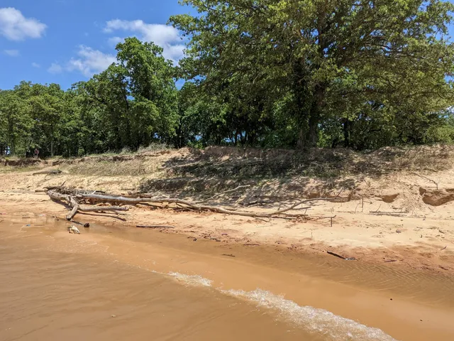 Owl Little Lake House