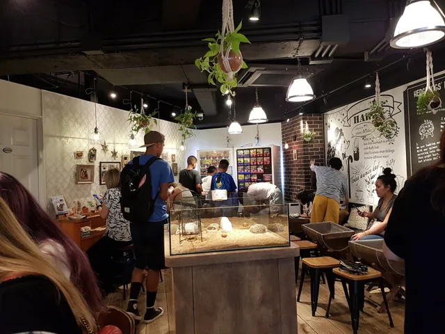 Hedgehog Cafe & Pet Store HARRY Harajuku
