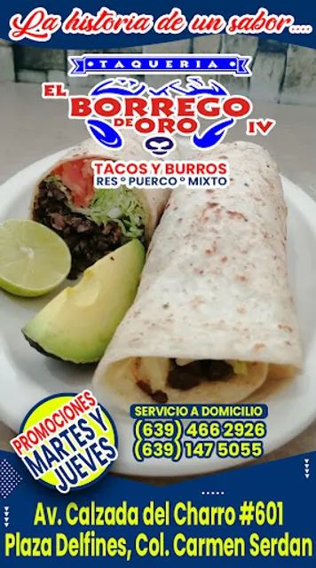 El Borrego de Oro. Plaza Delfines