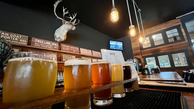 Packwood Brewing Co.