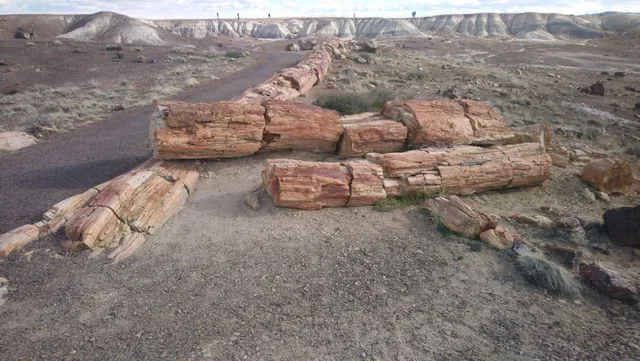 Crystal Forest Trailhead