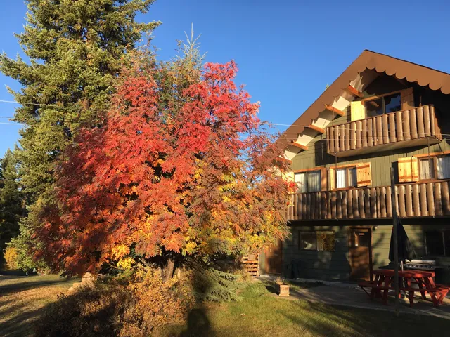 Ruth Lake Lodge Resort