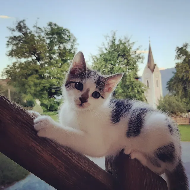 Malerhof Fam. Scheiber