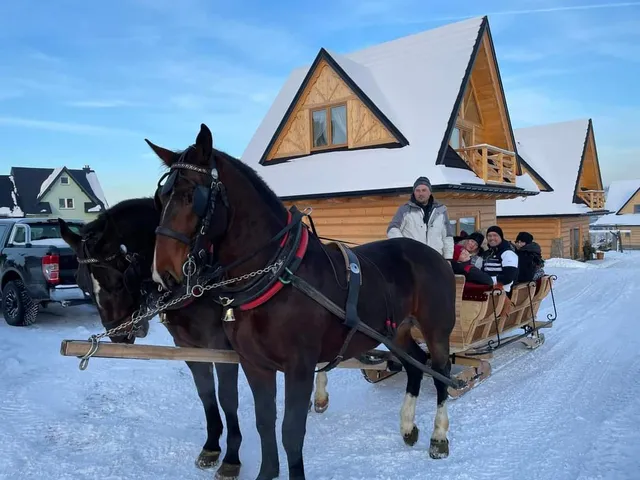 Luxury Houses & Apartments