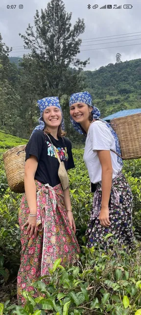 Tea factory tour nuwara eliya