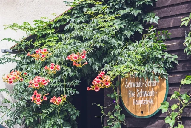 Ferienhaus Schwaab-Scherr mit ÖPNV-Ticket, Parkplätzen, Fahrradgarage und vielen Insider-Tipps