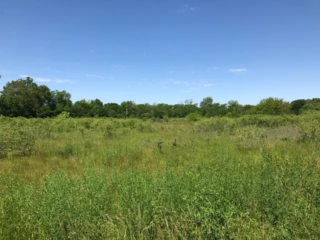 John Craddock Wetland Nature Preserve