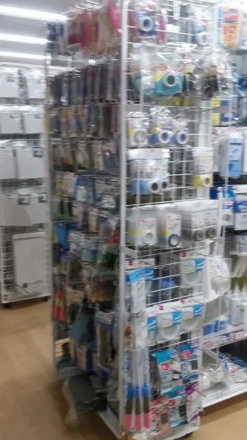 DAISO