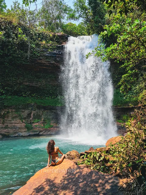 Pantanal Mato Grosso