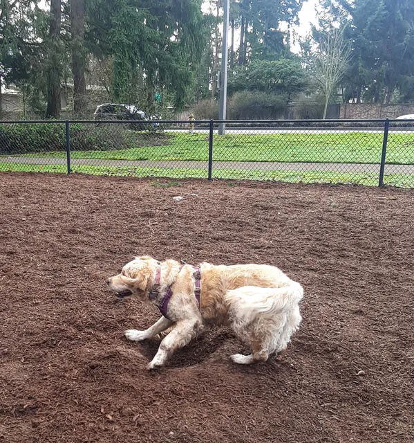 Robinswood Off-Leash Area