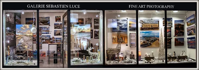 Galerie Sébastien Luce