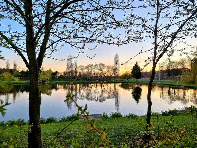 Hayfield Fishing Lakes