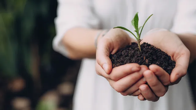 Garden-Ville Creedmoor