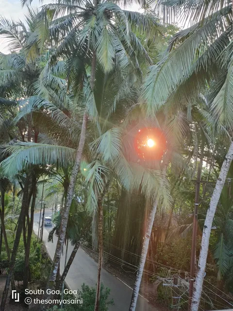 Bogpre Family Inn Guest House