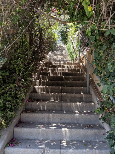 Lemoyne Street Steps