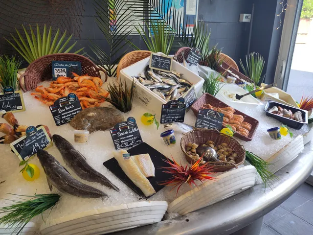 L'Ancre de Seiche - Le Bouscat