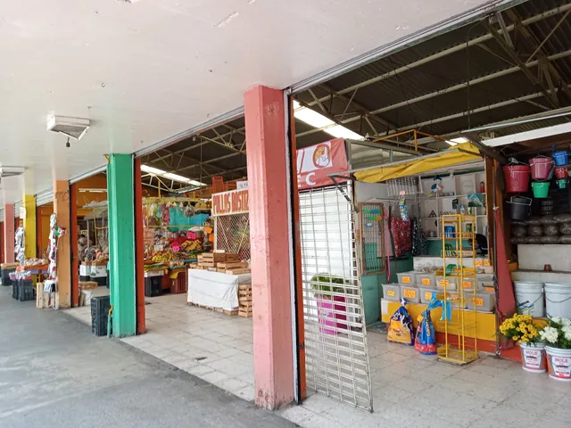 Álvaro Obregón Market