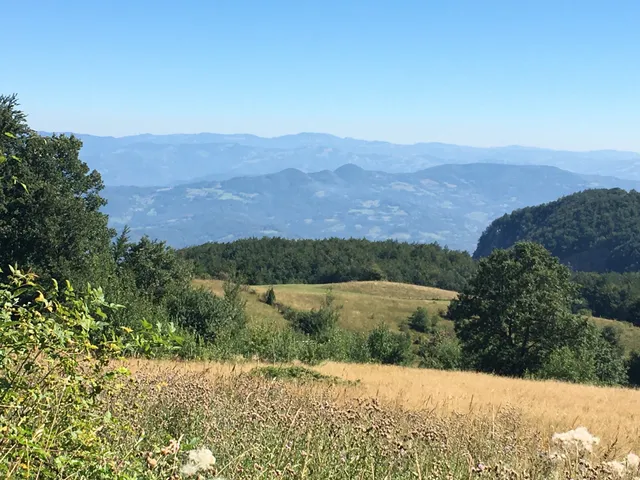 Апартман Срна