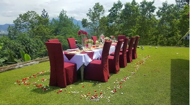 Burgundy Dine & Wine