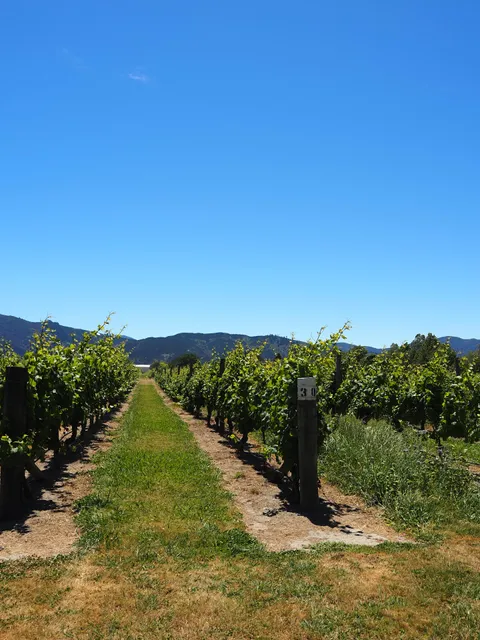 The Original Marlborough Wine Tours