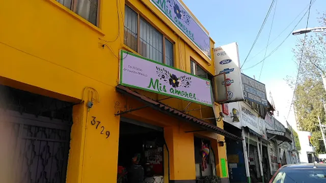 Mis amores enchiladas de nuestro México