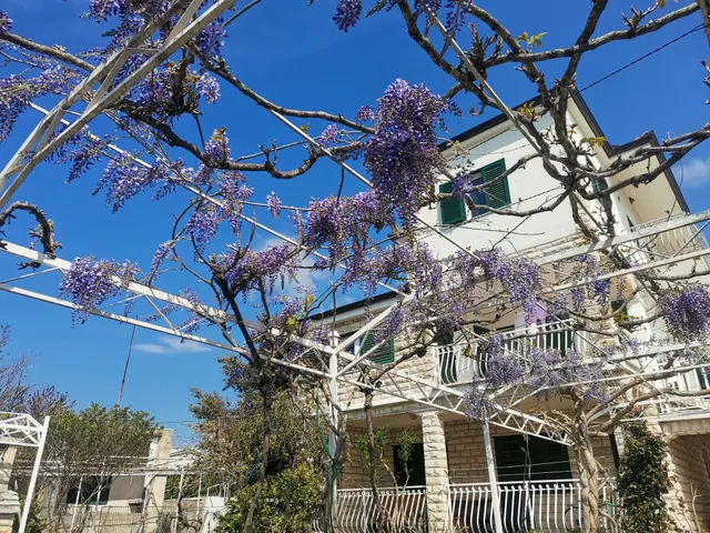Apartments Radović - Vinišće