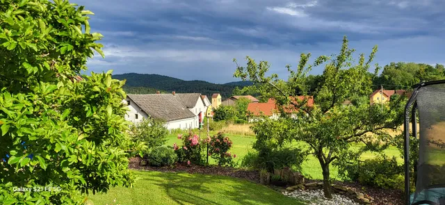 Ferienwohnung Schwendner