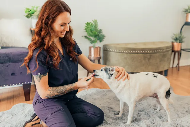 Muse Holistic Veterinary Care