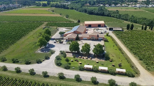 Domaine Massillan - Vignoble près de Montpellier