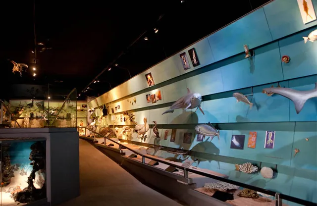 Museo di Storia Naturale