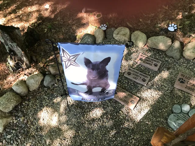 GraphicRocks Sandblasted Engraving