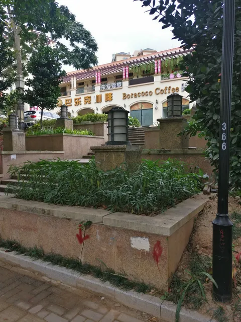 Baleke Coffee Longgang Shop