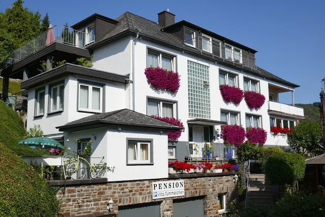 Hotel Villa Tummelchen