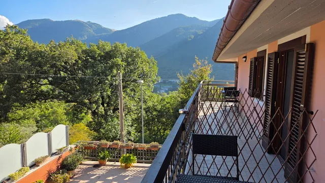 Nel verde di Carinci