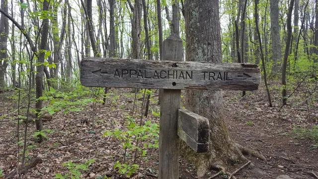 A.T. / Benton Mackaye Trail Junction