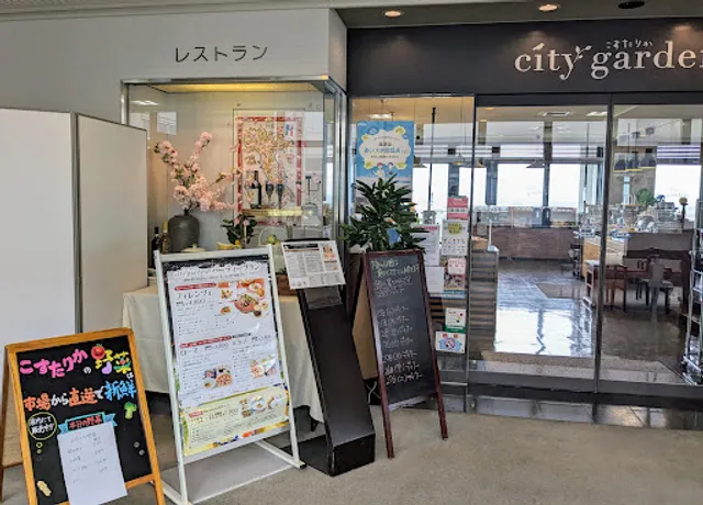 Costa-Rica city garden