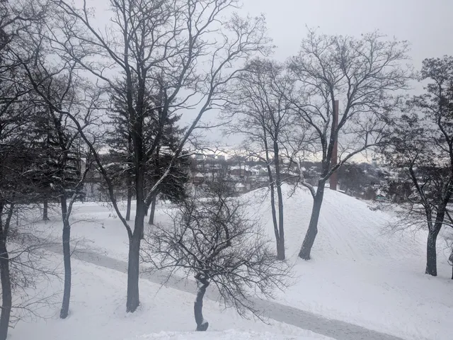 photo-1