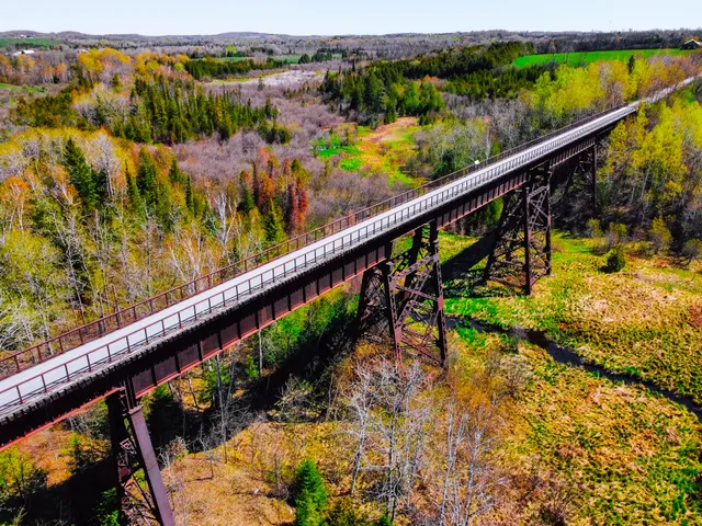 Doube's Trestle Bridge