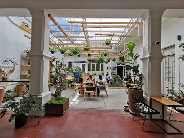 Endémico Vivero - Café