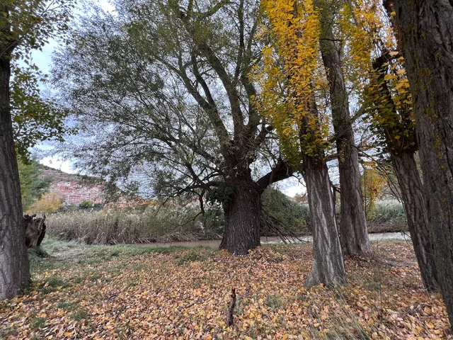 Plaza de Toros de Ademuz.