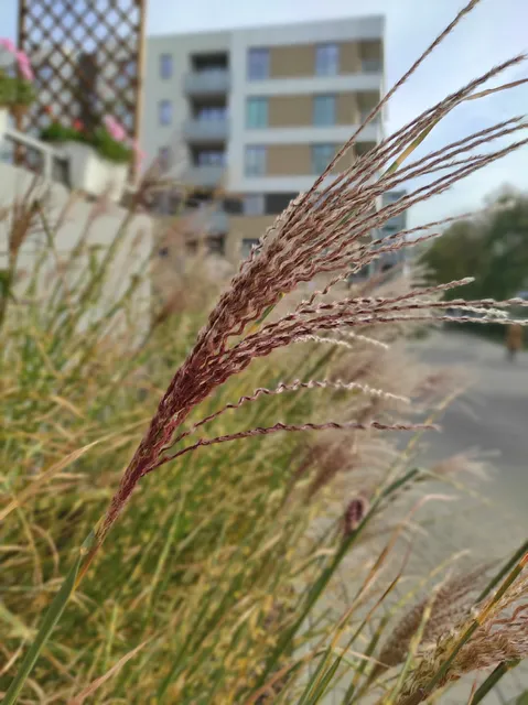 Tęczowa 101/4 Noclegi Renters PL