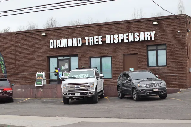 Diamond Tree Dispensary