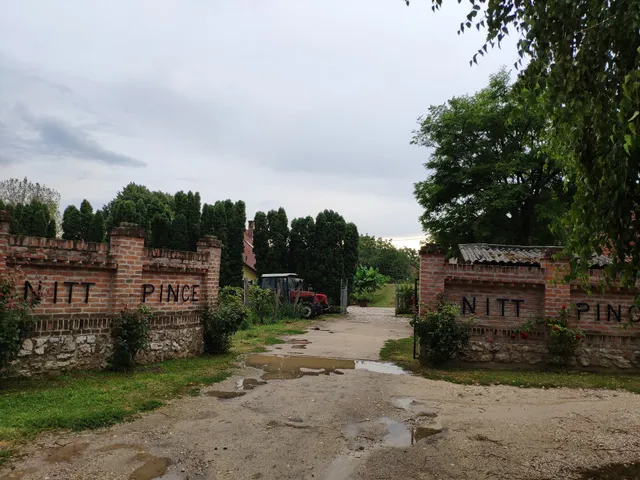 Nitt Pince És Panzió