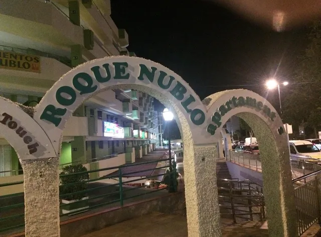 Apartamentos Roque Nublo