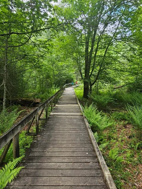 Pink Beds Trail Loop