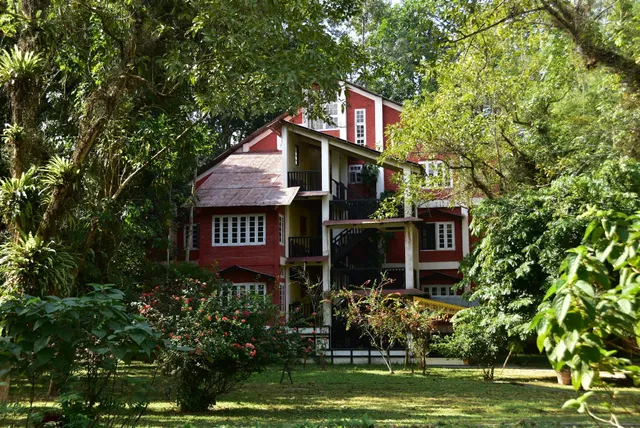 Wild Grass Kaziranga
