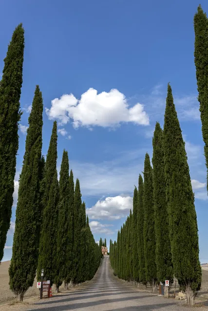 Poggio Covili viewpoint