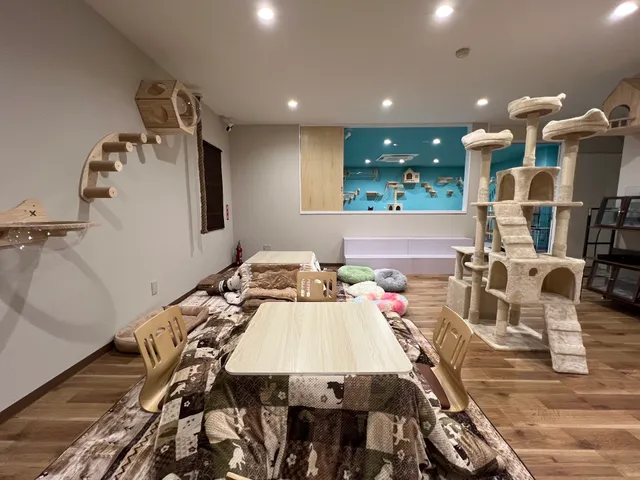 Cat Cafe-Meow Legend