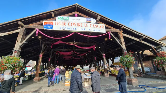 Halls of Châtillon-sur-Chalaronne