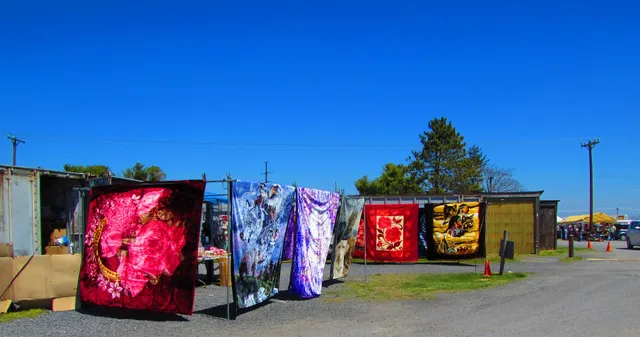 Shen-Valley Flea Market